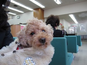P1000130