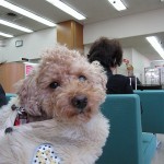 P1000130 P1000130