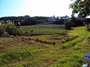 DSC00079