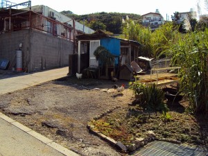 DSC00082