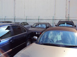 DSC00565
