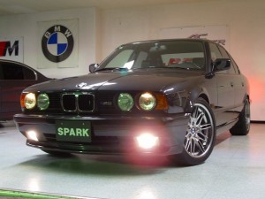 IMGP1626