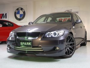 IMGP1121