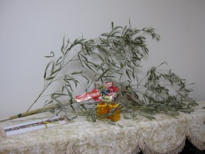 IMG_4374