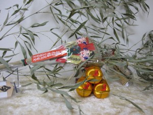 IMG_4375