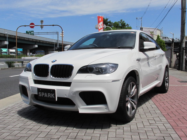 X6 M ホワイトレザー パワーゲート  アラウンドビューカメラ ソフトクローズドア車両画像01