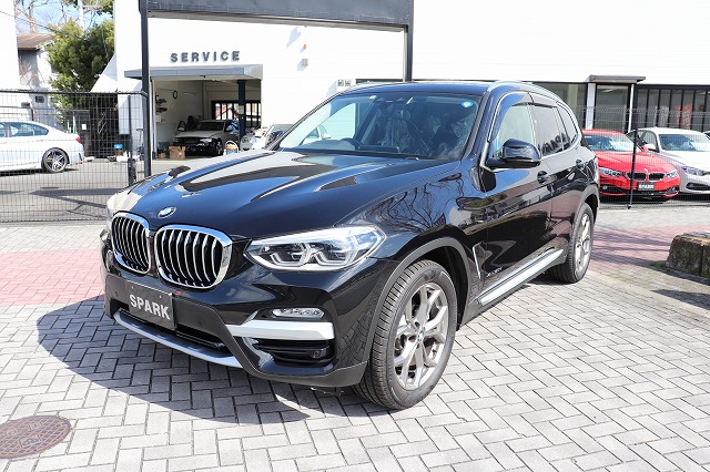 X3 xDrive20d Xライン　ワンオーナー　ACC　地デジ　タッチコントロールパネル車両画像07