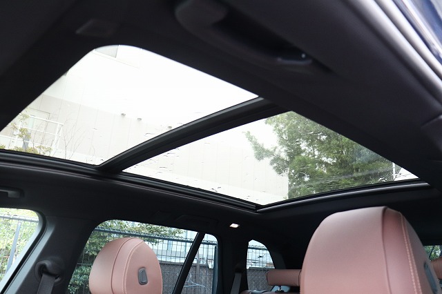 X5 xDrive35d Mスポーツ　ブラウンレザー　パノラマサンルーフ　オートトランク車両画像14